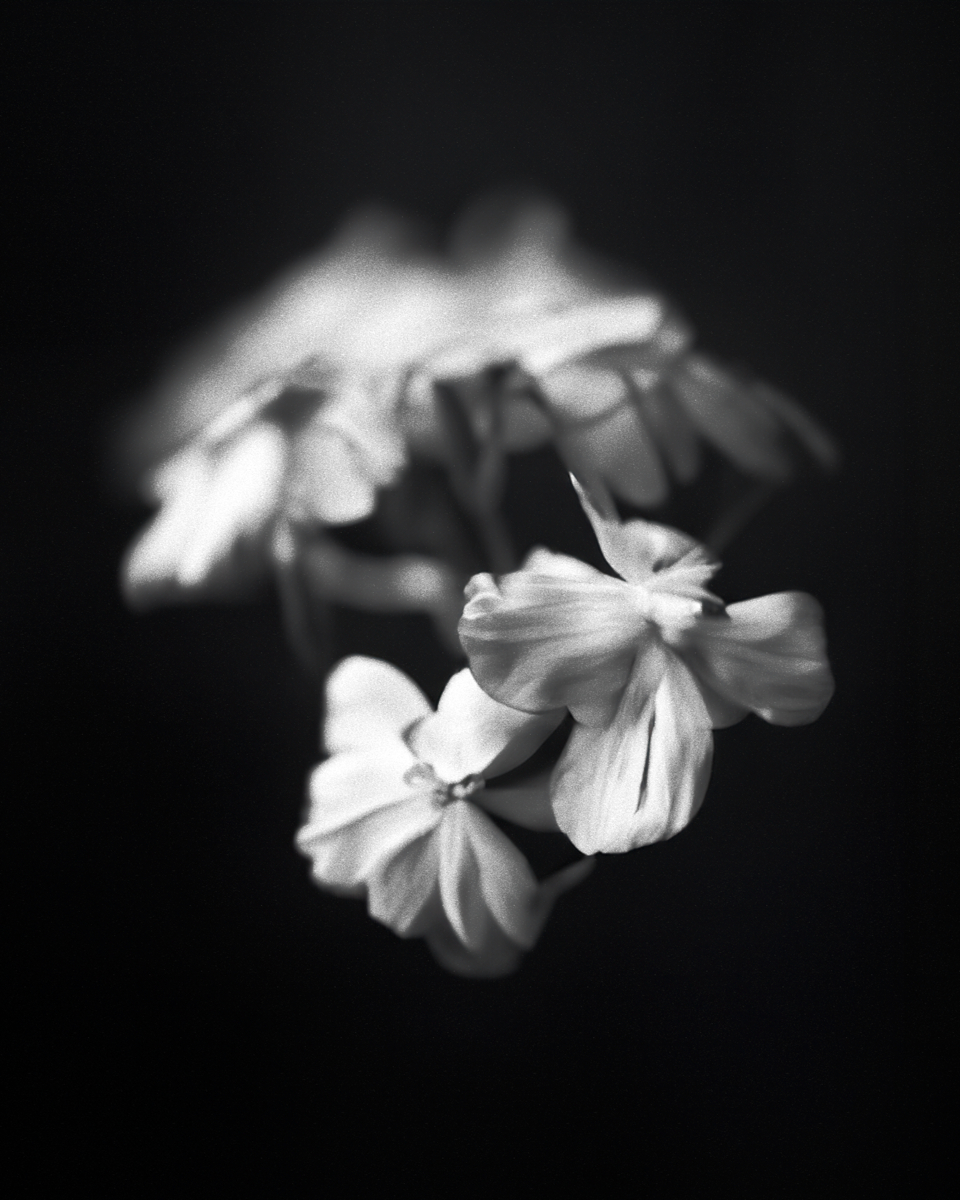 kenkenken (@kenkenkazkaz222) on Twitter photo 