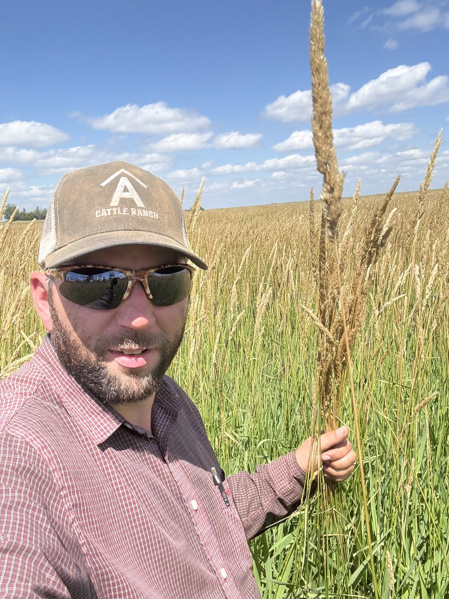 crazyrancher13's tweet image. Starting cutting on our flood irrigation slough today. Tallest stuff is 6 ft or more. 🤠