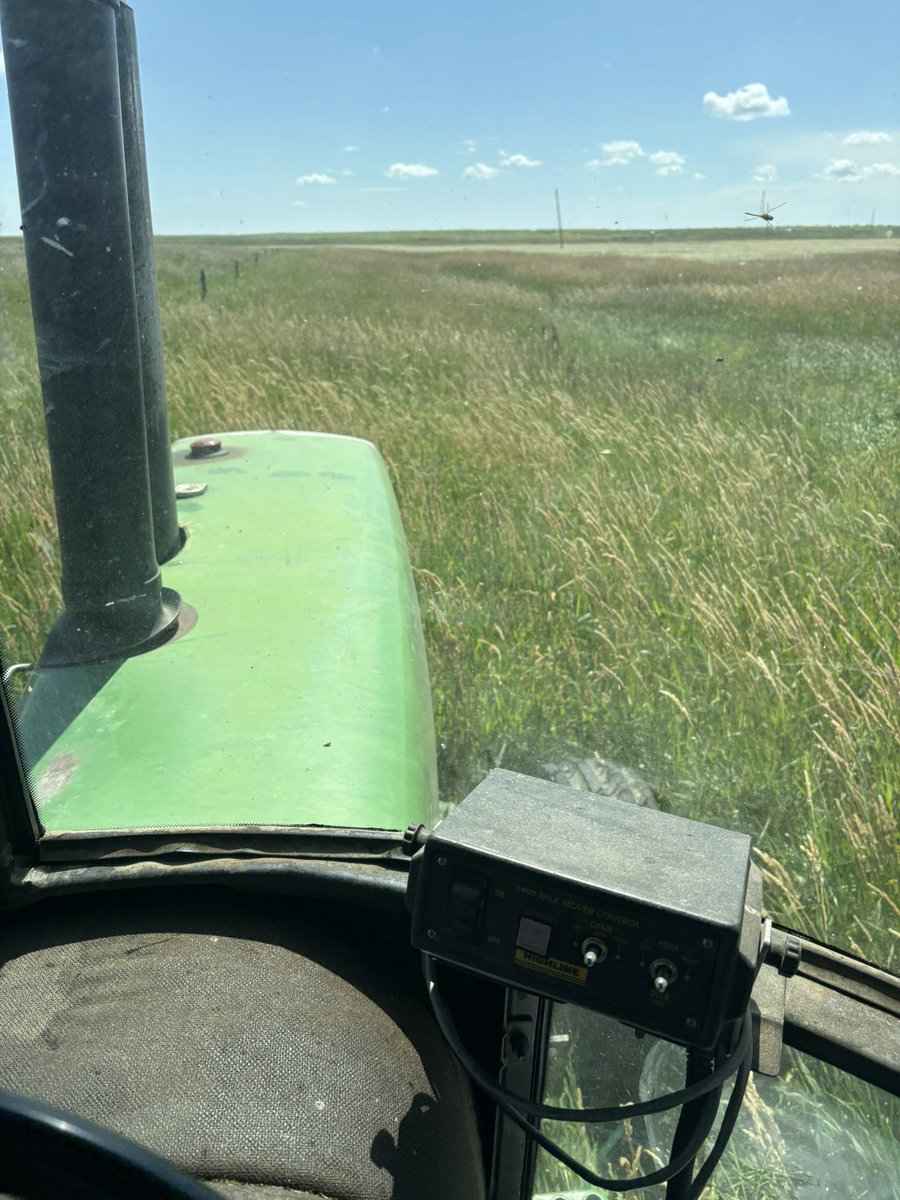 crazyrancher13's tweet image. Starting cutting on our flood irrigation slough today. Tallest stuff is 6 ft or more. 🤠