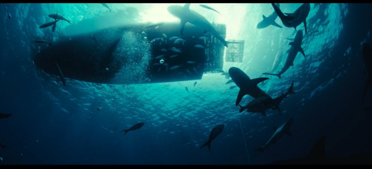 alice198483's tweet image. Dangerous Animals