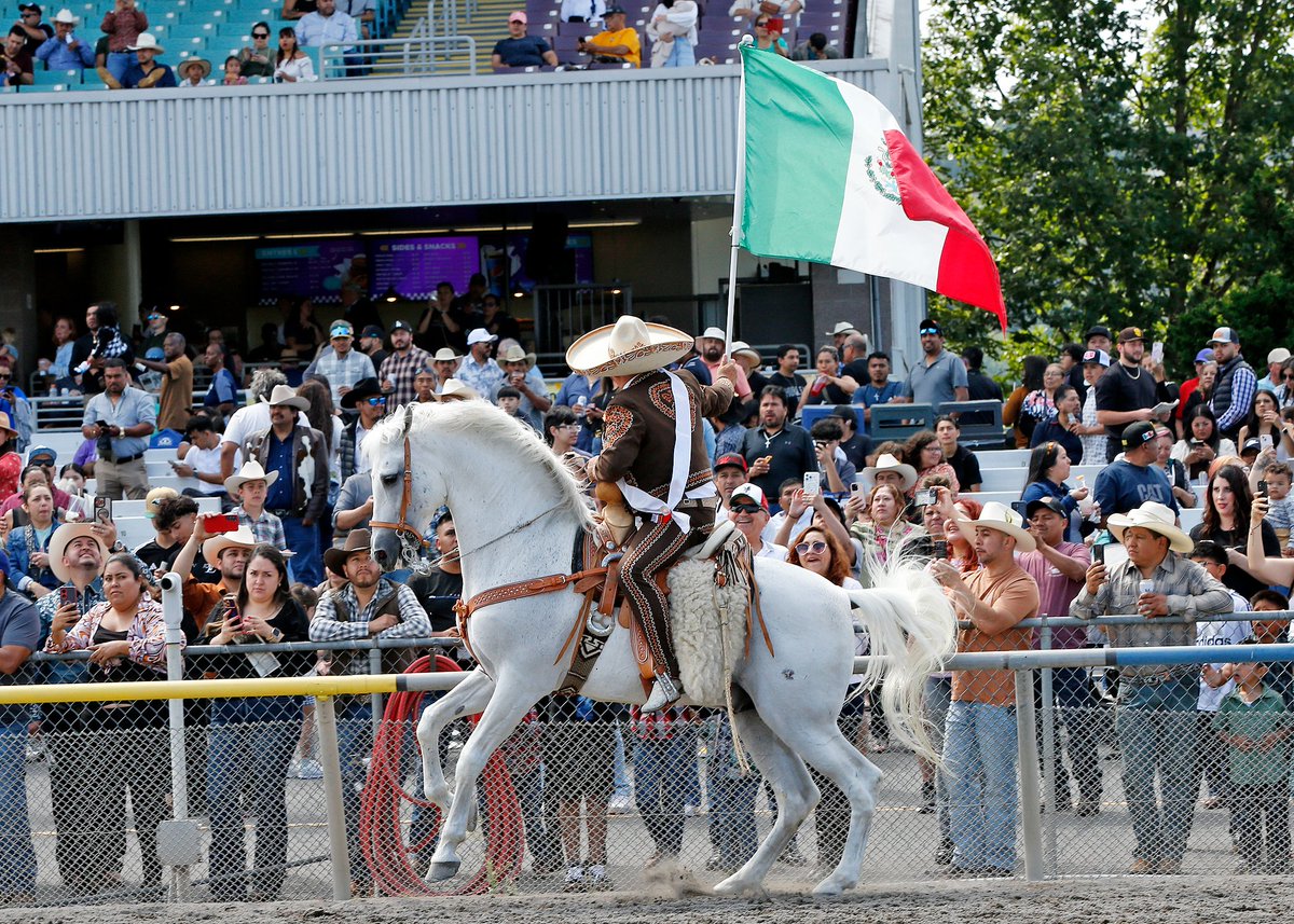 EmeraldDowns's tweet image. Fiesta Premio Esmeralda

Saturday &amp;amp; Sunday