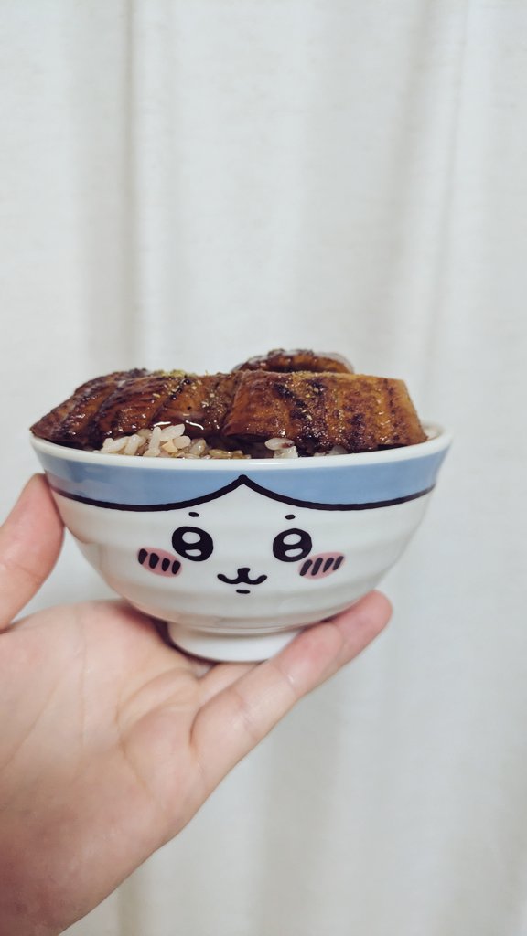 korokor66326316's tweet image. テイクアウトしたくら寿司のうな丼、
新しいお茶碗によそってみた🤭🍚✨