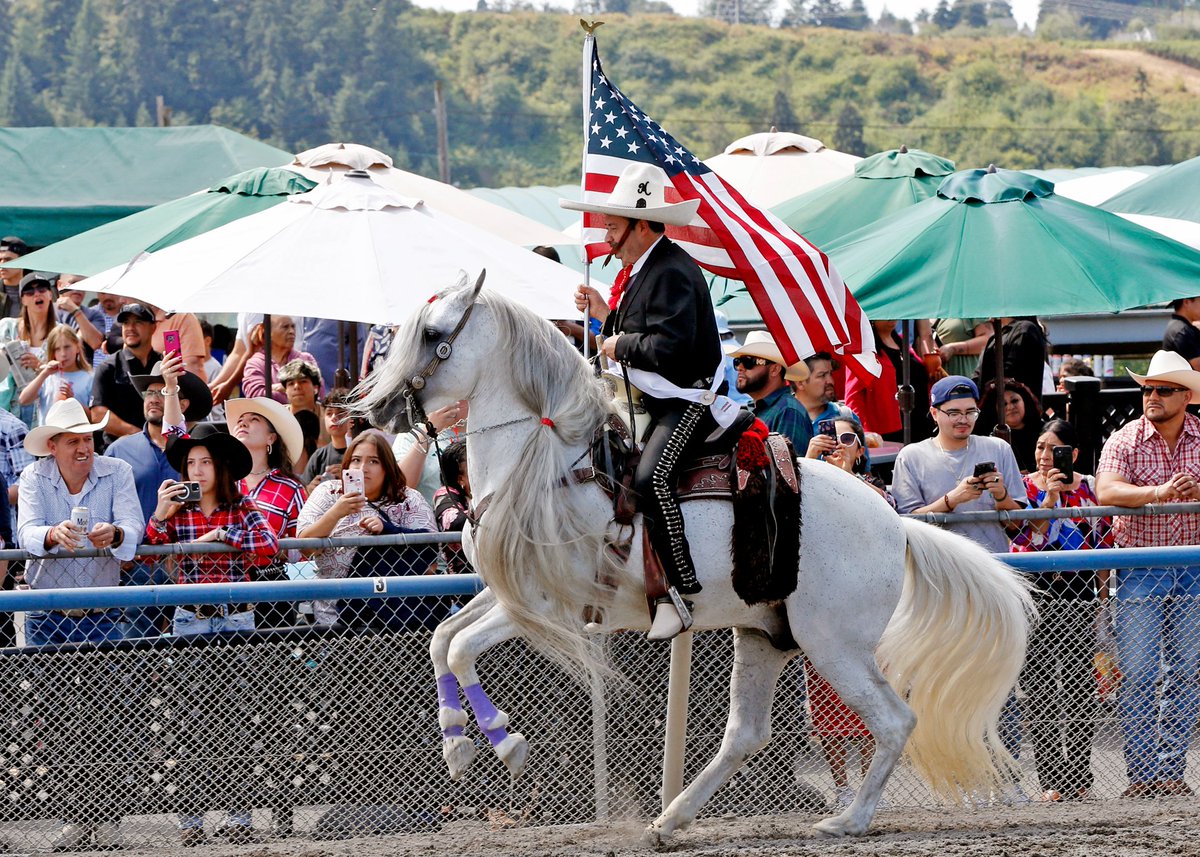 EmeraldDowns's tweet image. Fiesta Premio Esmeralda

Saturday &amp;amp; Sunday