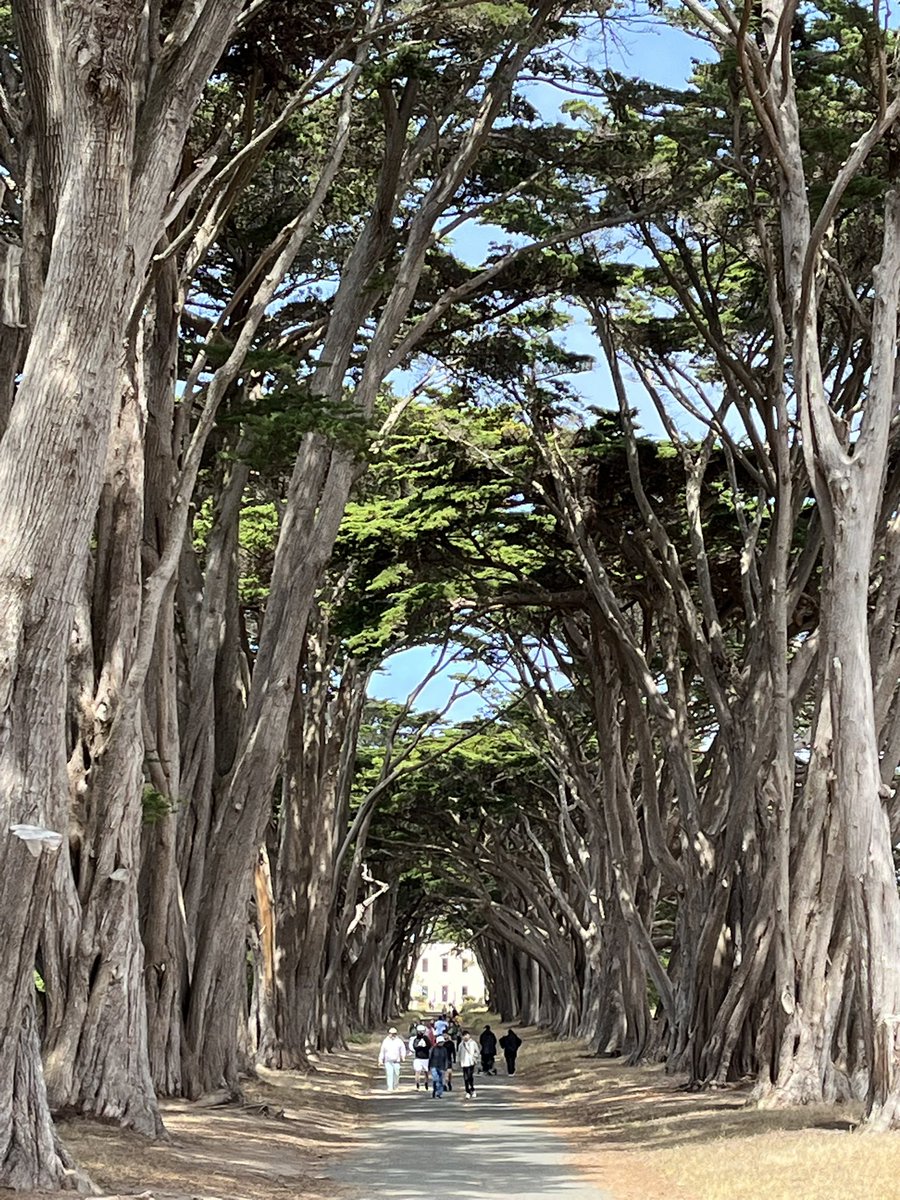 ETrainSports's tweet image. I went on two unforgettable hikes at Point Reyes National Seashore this morning.
I hiked through windswept dunes with 360 degree ocean views & down hundreds of steps to an old lighthouse!
All in the span of 2 hours! 10/10 experience! I highly recommend visiting Point Reyes!