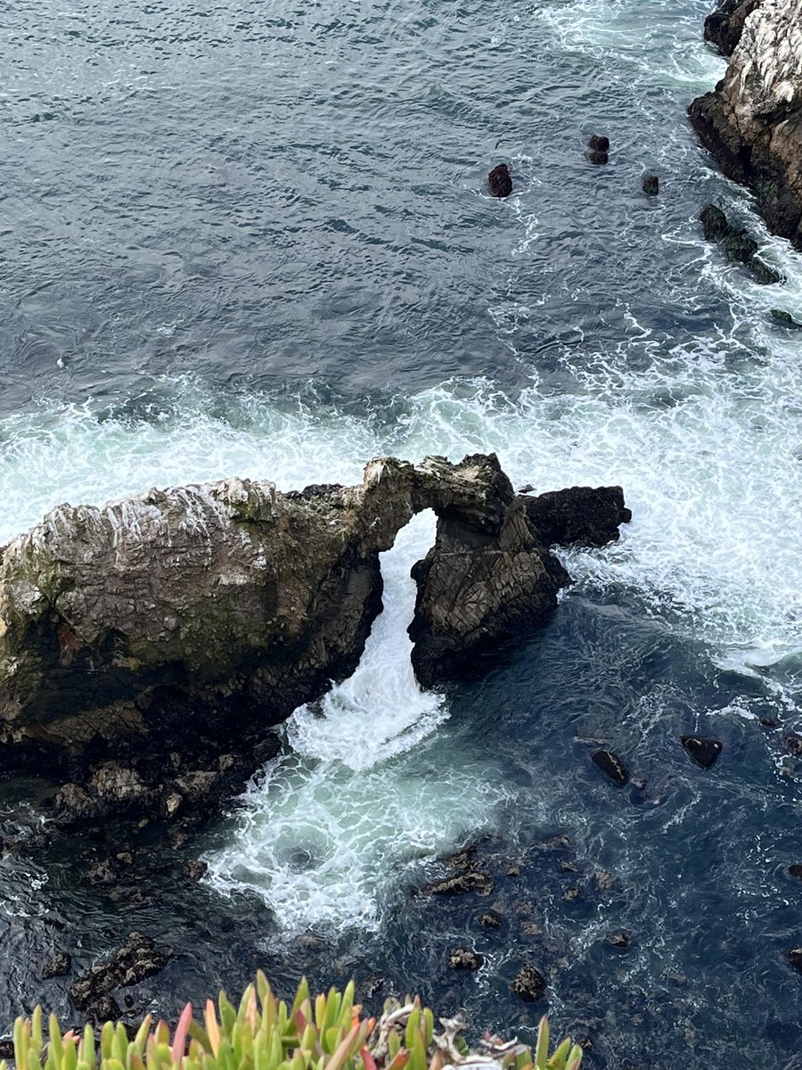 ETrainSports's tweet image. I went on two unforgettable hikes at Point Reyes National Seashore this morning.
I hiked through windswept dunes with 360 degree ocean views & down hundreds of steps to an old lighthouse!
All in the span of 2 hours! 10/10 experience! I highly recommend visiting Point Reyes!