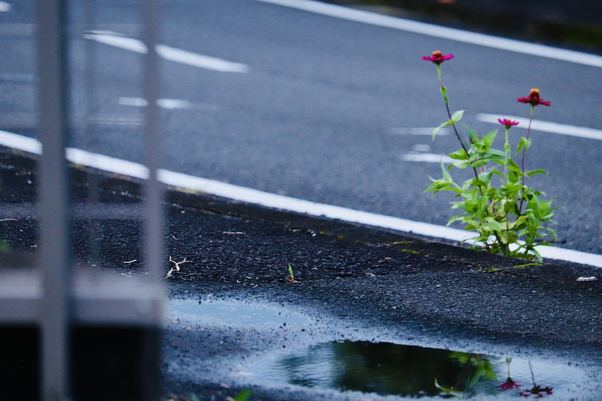 この夏よく働きました。1週間しばし休息。
