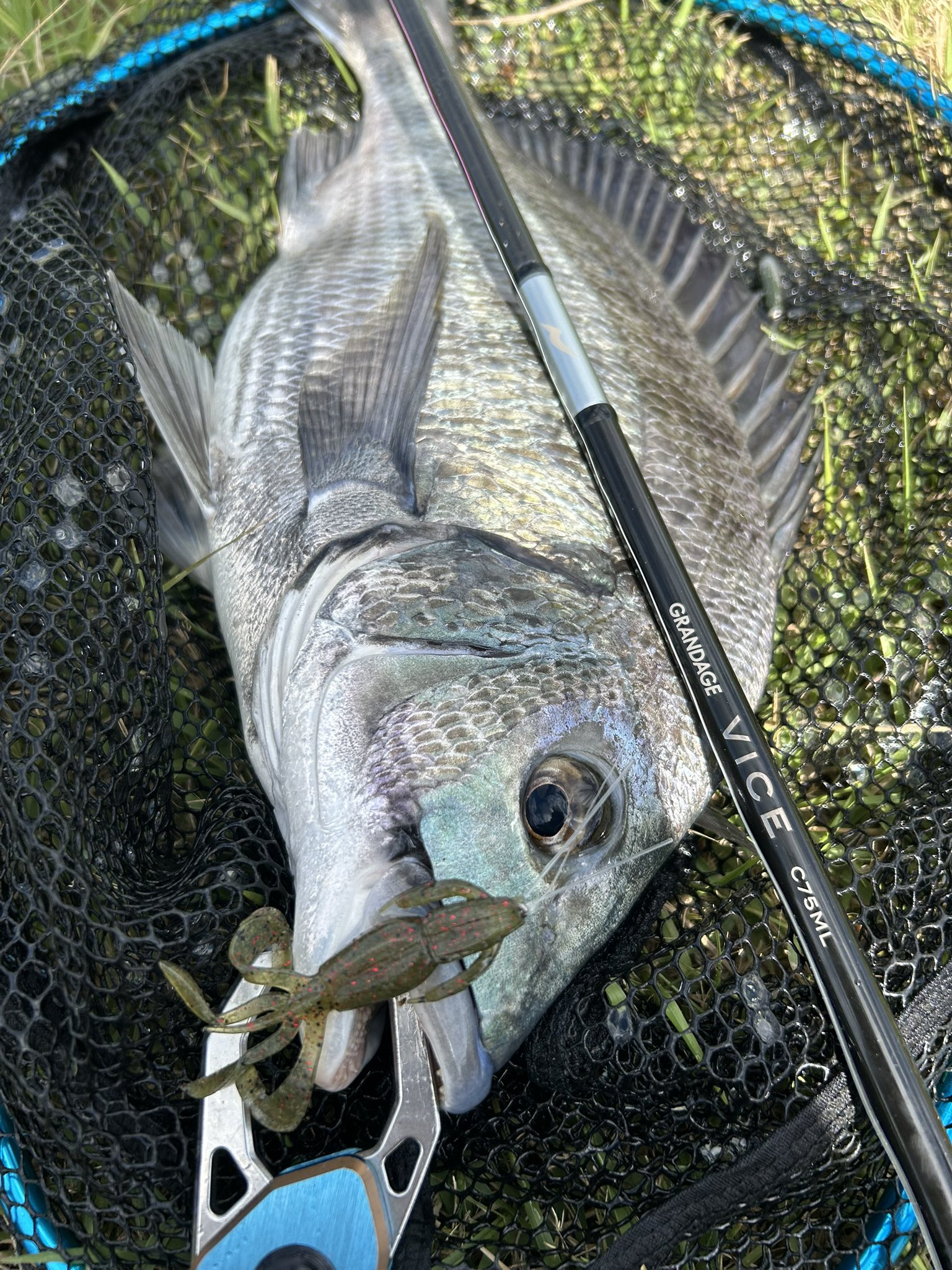リール Yuuki アブガルシア(Abu Garcia) モラム ZX1600C IVCB 1141073