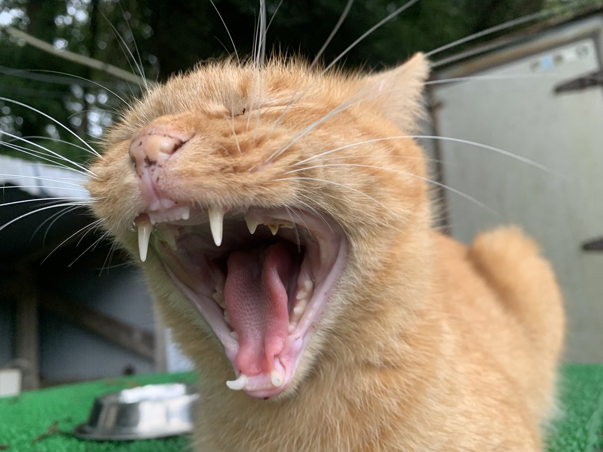 潮来3H耐久お疲れ様でしたー‼️
慣れない雨の中の走行でしたが、無事完走できて嬉しいです😊
誕生日だったこともあり、祝ってくれた人もいました🥹💕ありがたいです
結果は5位でした‼️3時間本当におつかれ様でした‼️‼️