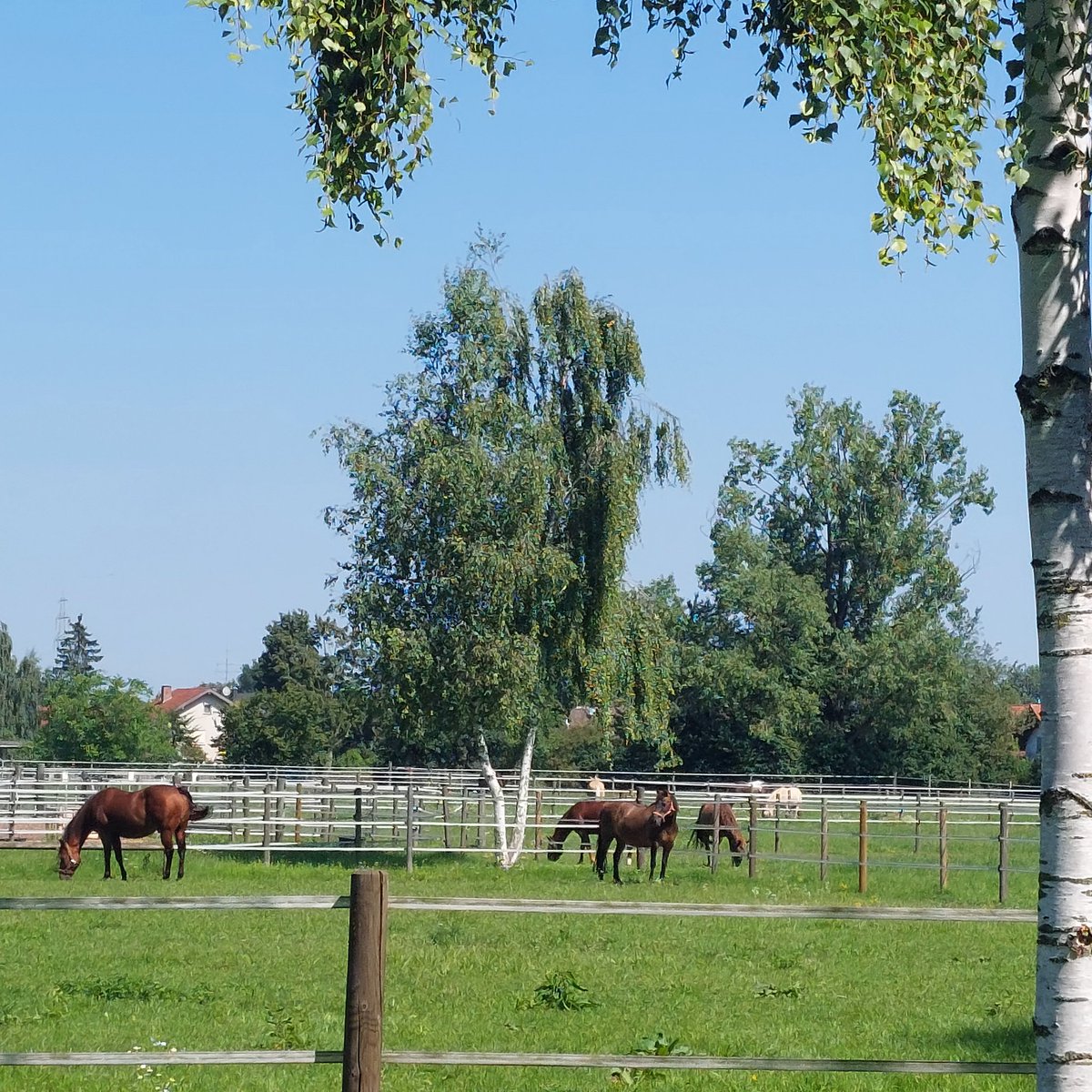 Good Sunday everyone