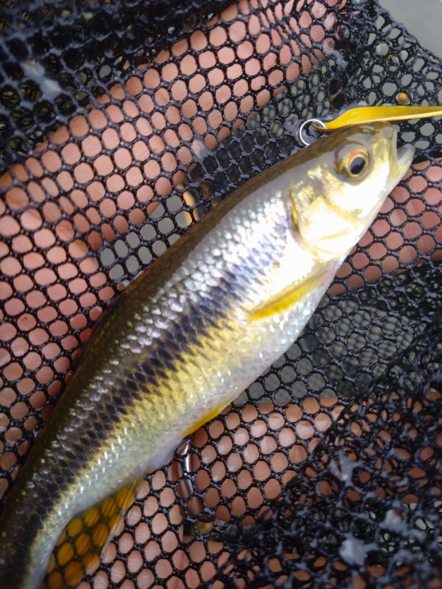 ルアーマン様❗️専用❗️ ジャンプライズ かっ飛び棒130BR ラトルSP フックレス 130mm/38g