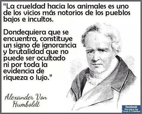 <a href="/josevico4/">José Vico 🔻🇵🇸🇿🇦</a> Analfabets.