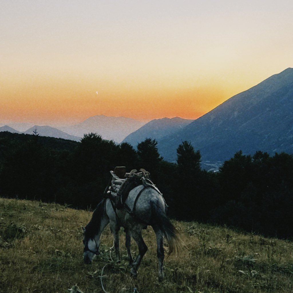 Mayar (@4li0r) on Twitter photo 