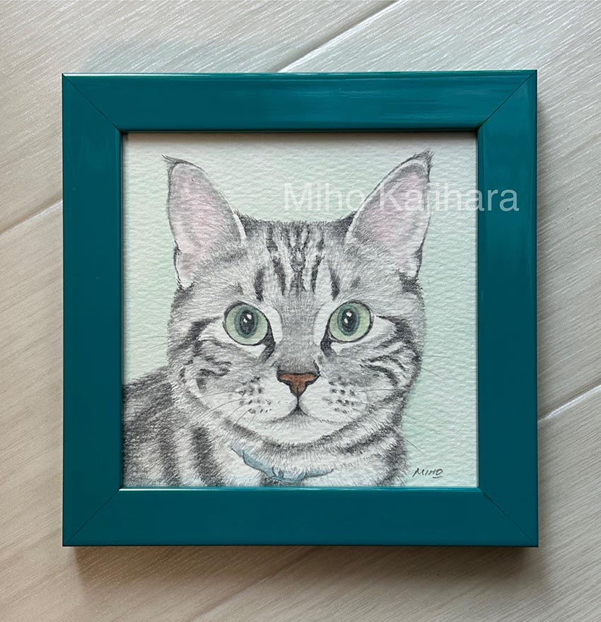 梶原美穂　猫イラスト　【太猫】 梶原美穂😸9/18-10/6個展「秋うらら、猫うらら。」@またたび堂