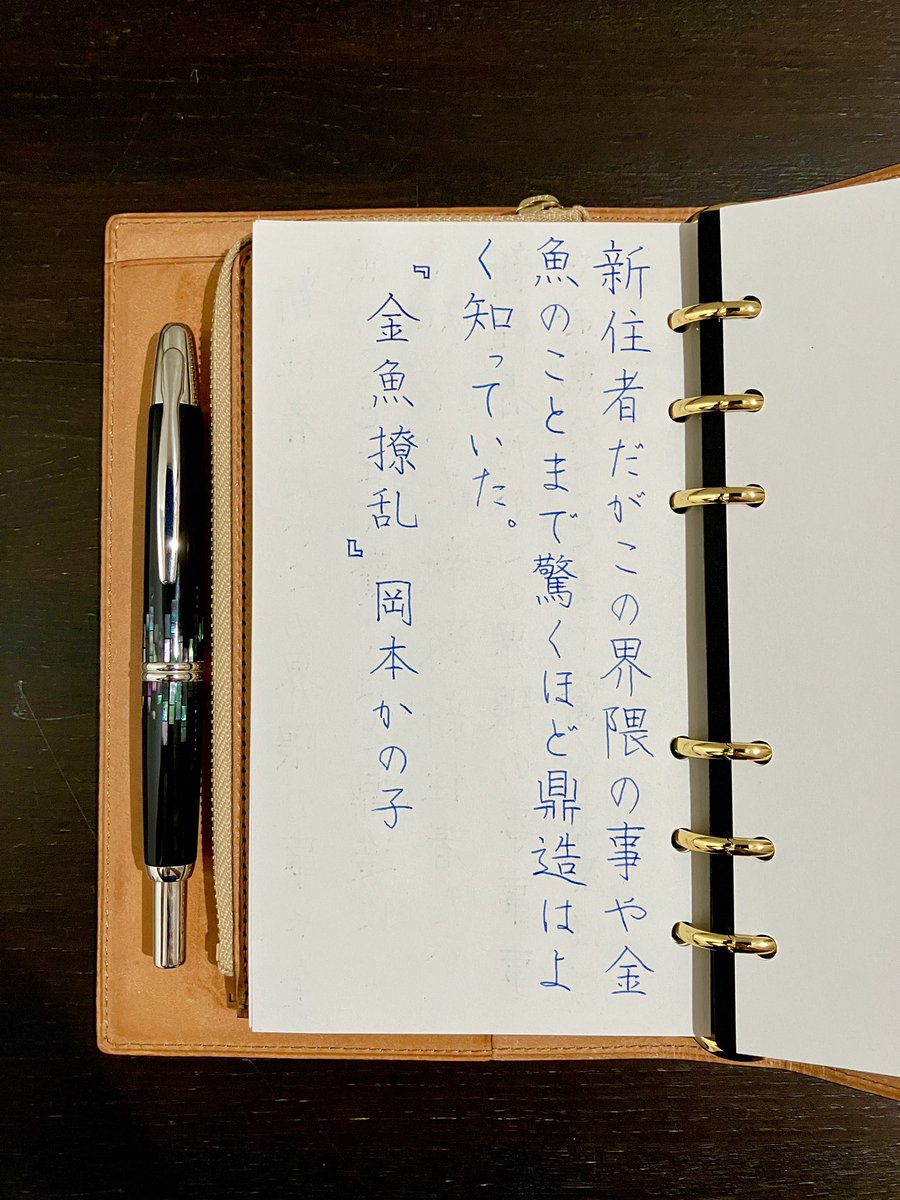 『金魚撩乱』岡本かの子
#朝活書写 No.2130
#朝活書写_2130