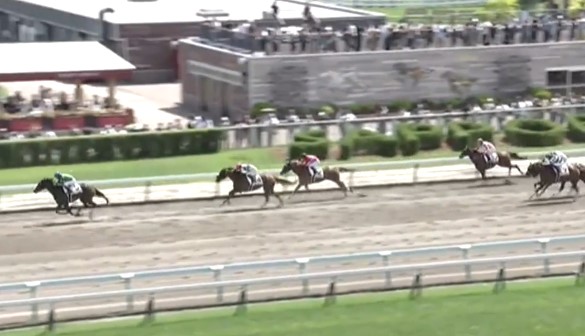 8月9日、当社育成馬ミサビスケッツ(牝3、美浦・村田一誠厩舎、嶋田賢様所有)が、札幌2R、3歳未勝利（ダート1700m）で、勝ち上がりました！

嶋田様、村田一誠厩舎の皆様、優勝おめでとうございました！
kimurabokujo.com/%e6%9c%a8%e6%9…