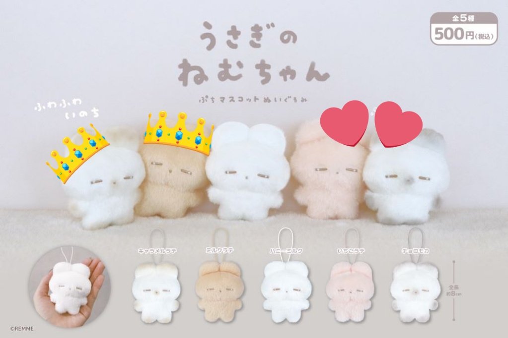 セキ@近状bioタグ tweet media