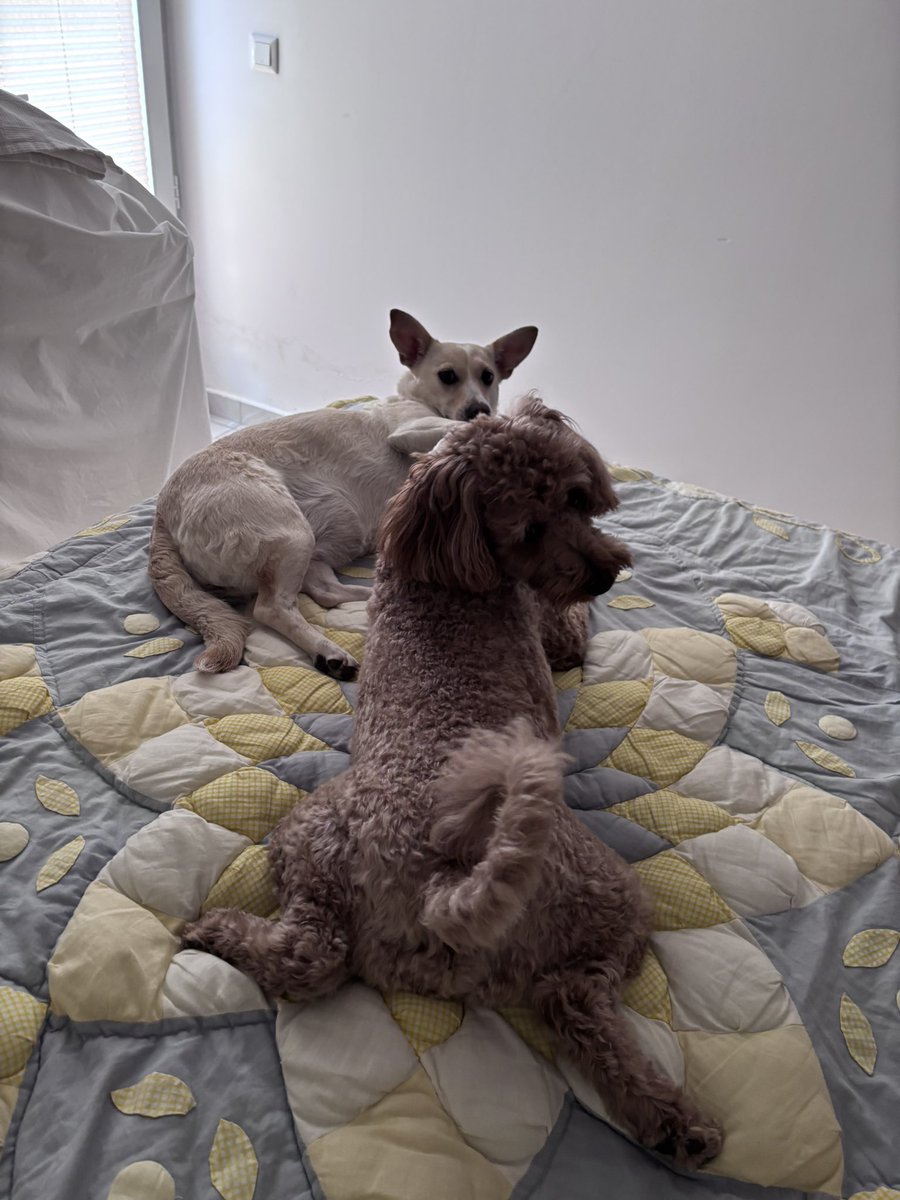 Yarına kadar süremiz var 25 kişi 200₺ verebilirse çocuk yola çıkacak🥹❤️
Pakize su nüğsü atacağımdan emin olabilirsiniz 🥹❤️
Şu şekilde bekliyoruz destek olacak kişileri🥹❤️