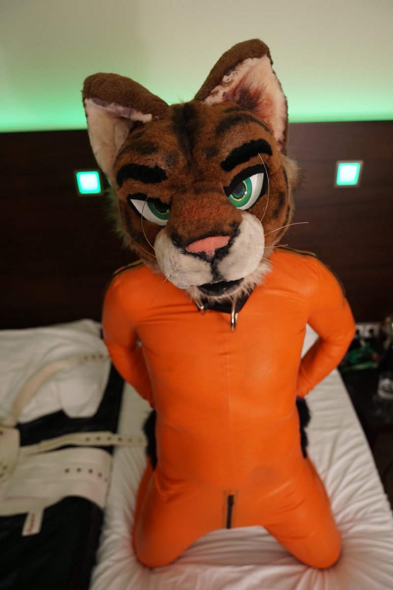 It's time to be squeaky and colorful 🍊

#latexfur #shinysunday #squeakysunday