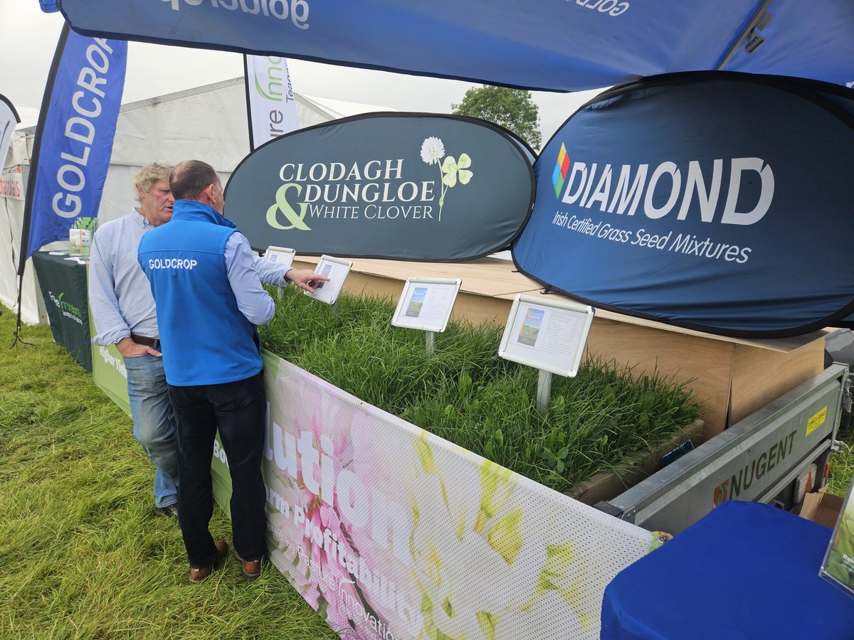 patrick cashman tweet media