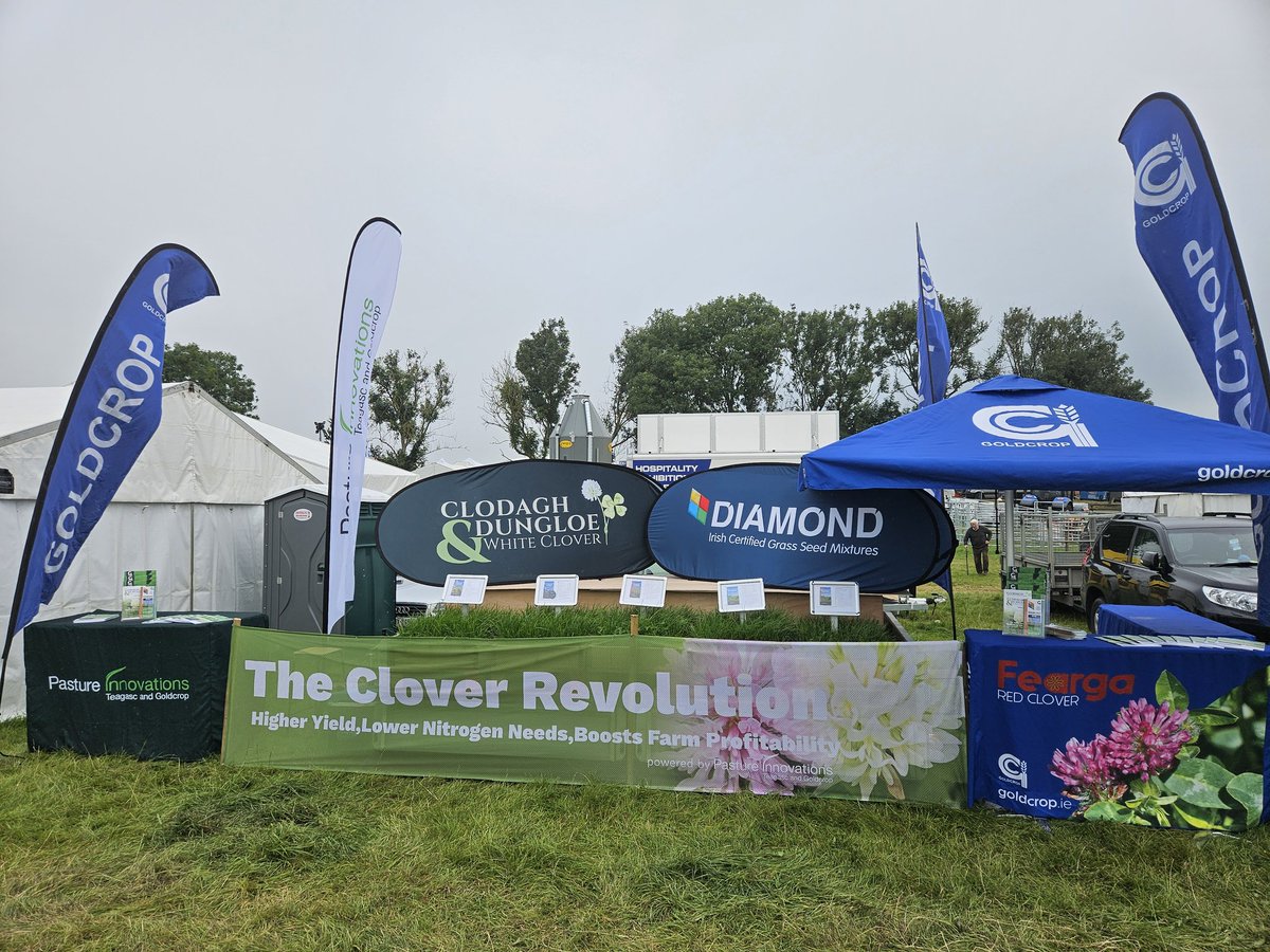 patrick cashman tweet media