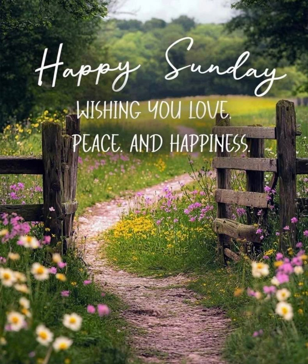 Good Sunday Morning ☕️🤗🦋