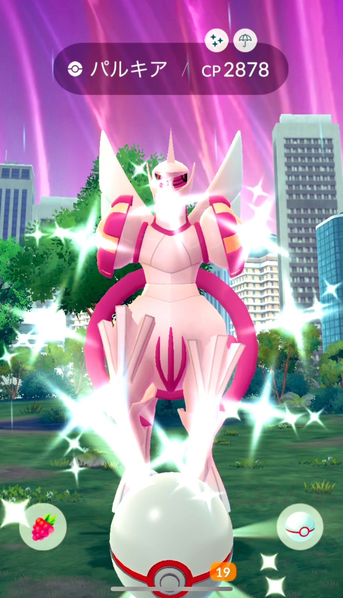 ポケモン - ハル パルキアGX SR