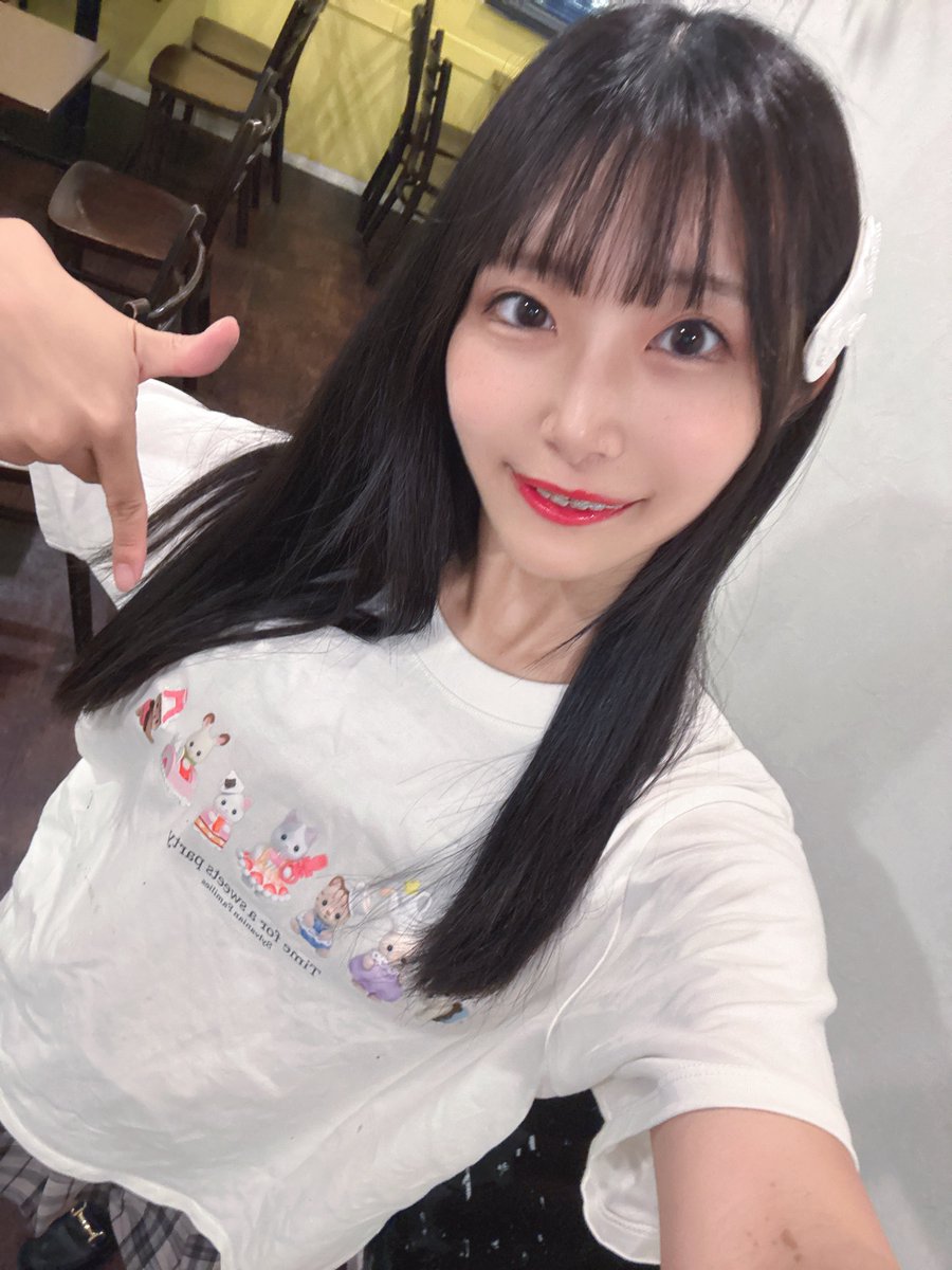 シルバニアTです🐿️🐰🐱