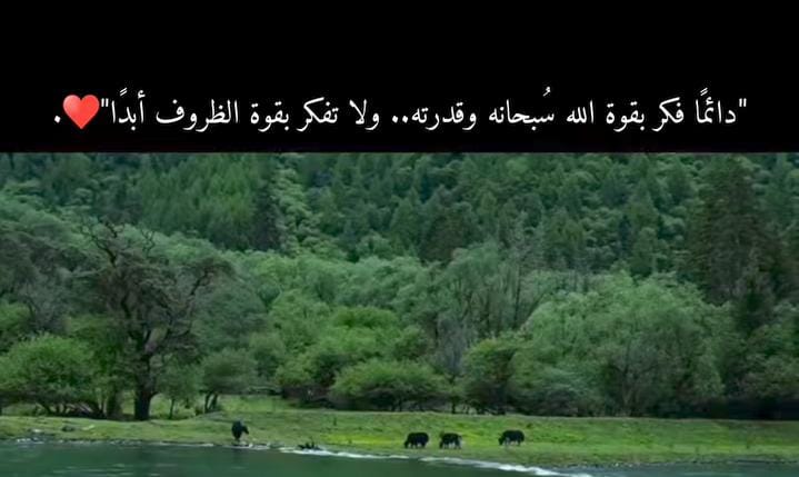 اللهم إنا أحسنا الظن بك فإجبر بخاطرنا يا الله