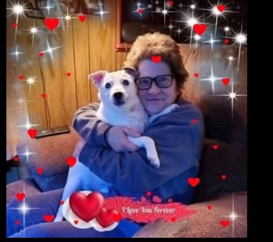 MAX(OTRB💗) tweet media