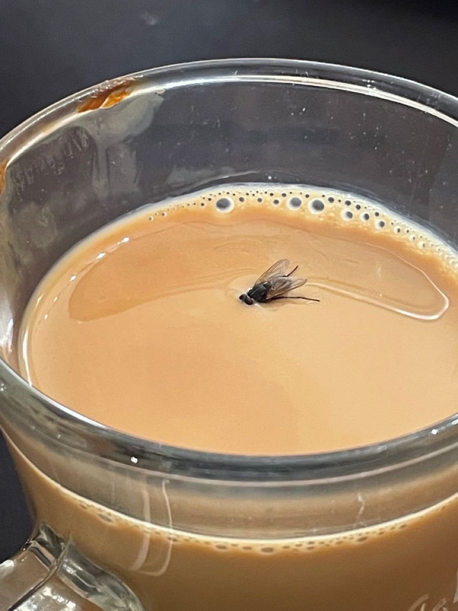 Roll some weed &amp; get your day started