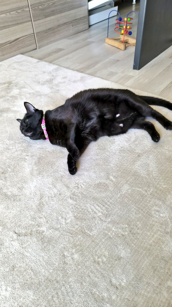 Allak da böle havayı mafetsin