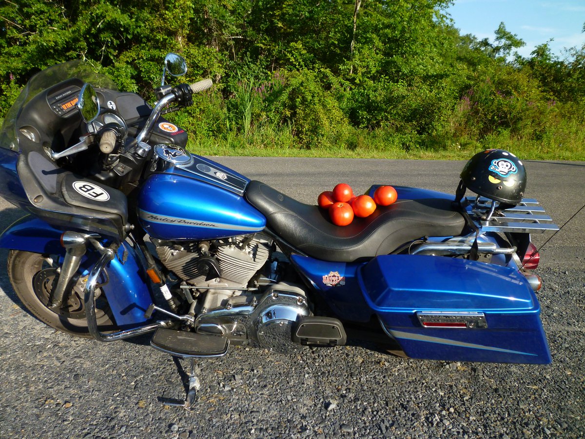 Who made a tomata

Sit on my scooter

If you sit down

Be juice on the cooter