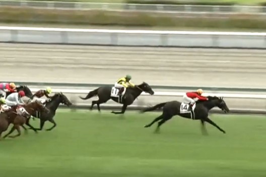 8月9日、当社育成馬ロンティケチャップ(牡3、栗東・牧田厩舎、仔馬カメラ様所有)が、中京11R、3歳未勝利（芝1400m）で、勝ち上がりました！

仔馬カメラ様、牧田厩舎の皆様、優勝おめでとうございました！
kimurabokujo.com/%e6%9c%a8%e6%9…