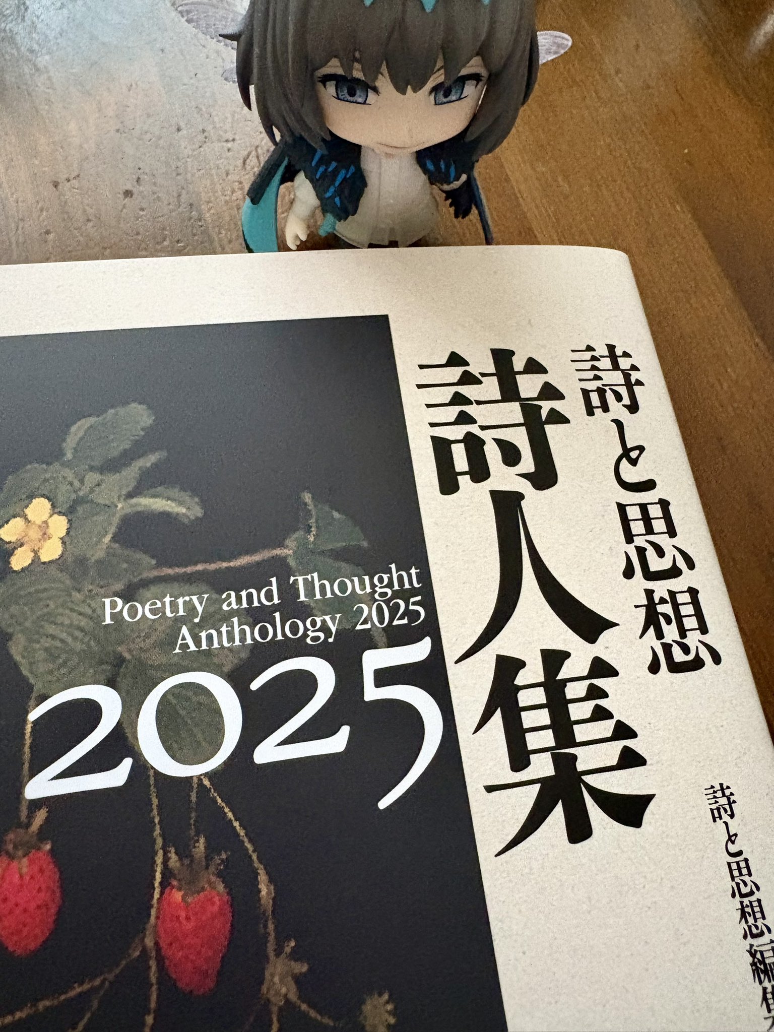 額装詩「想」 9宫格美少女战士～