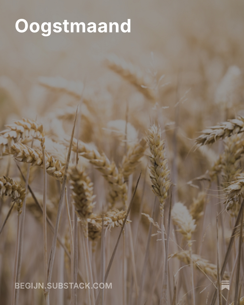 Le nouveau nieuwsbrief est arrivé.
(Gratis) abonneren kan via begijn.substack.com

 #ornithologie #vogelspotten #wandelen #natuurbeleven #vogeleninbelgië #vogeleninnederland #natuurbeleving #vogelbeschermingnederland #sovon #natuur #natuurpunt #vogelbescherming