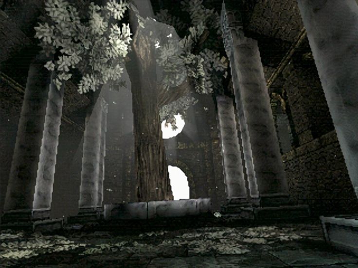 gOPwbi7qqtWeD9o's tweet image. 