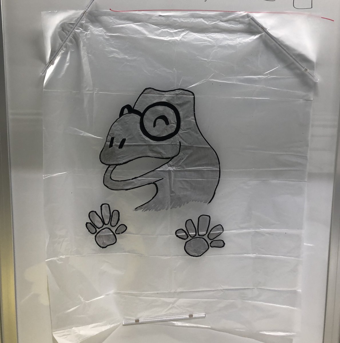 ワクワクさん 久保田雅人(わくわくさん) 公式 on X