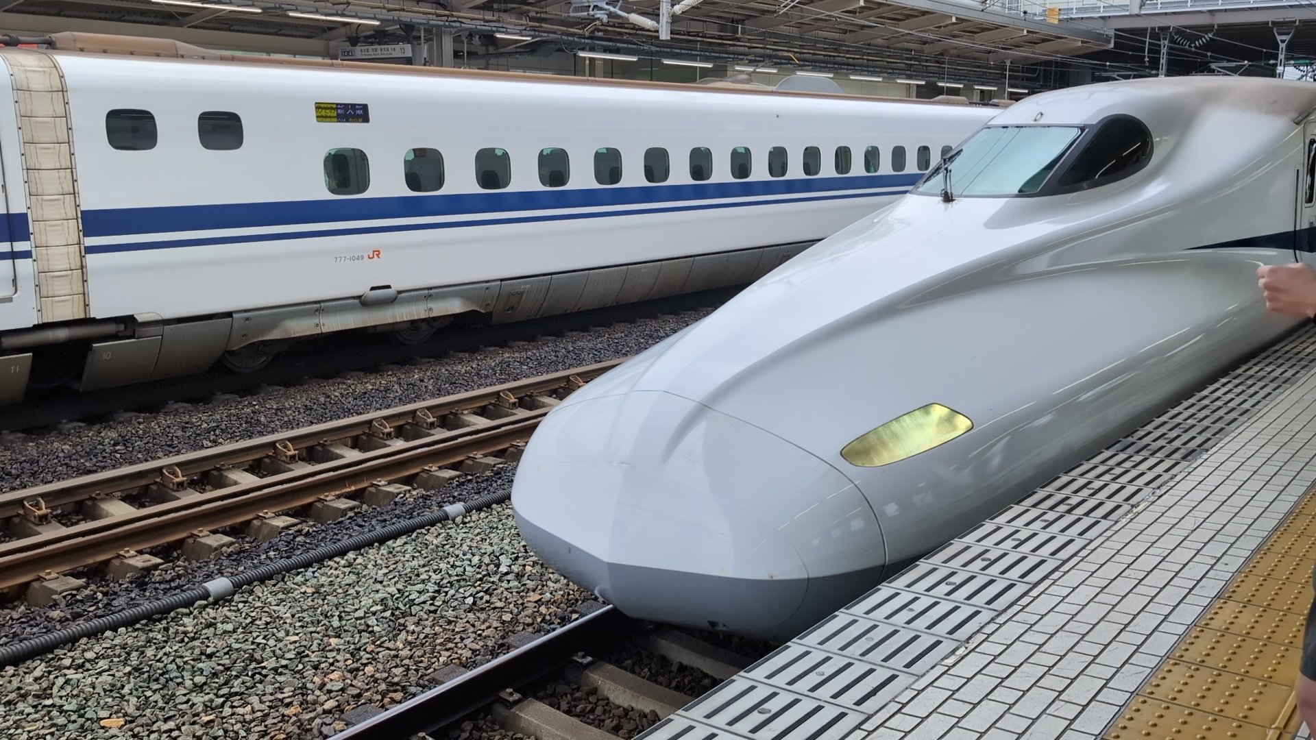 はらわた on X: 