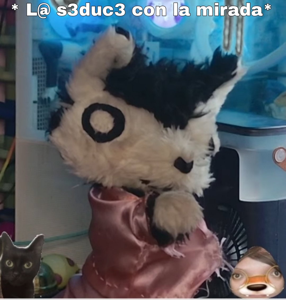 OniMexOfficial's tweet photo. @M4L4DuWaffle no me decidí cual quedaba mejor, así que hice 2 😆 https://t.co/nAdKDf3OCq