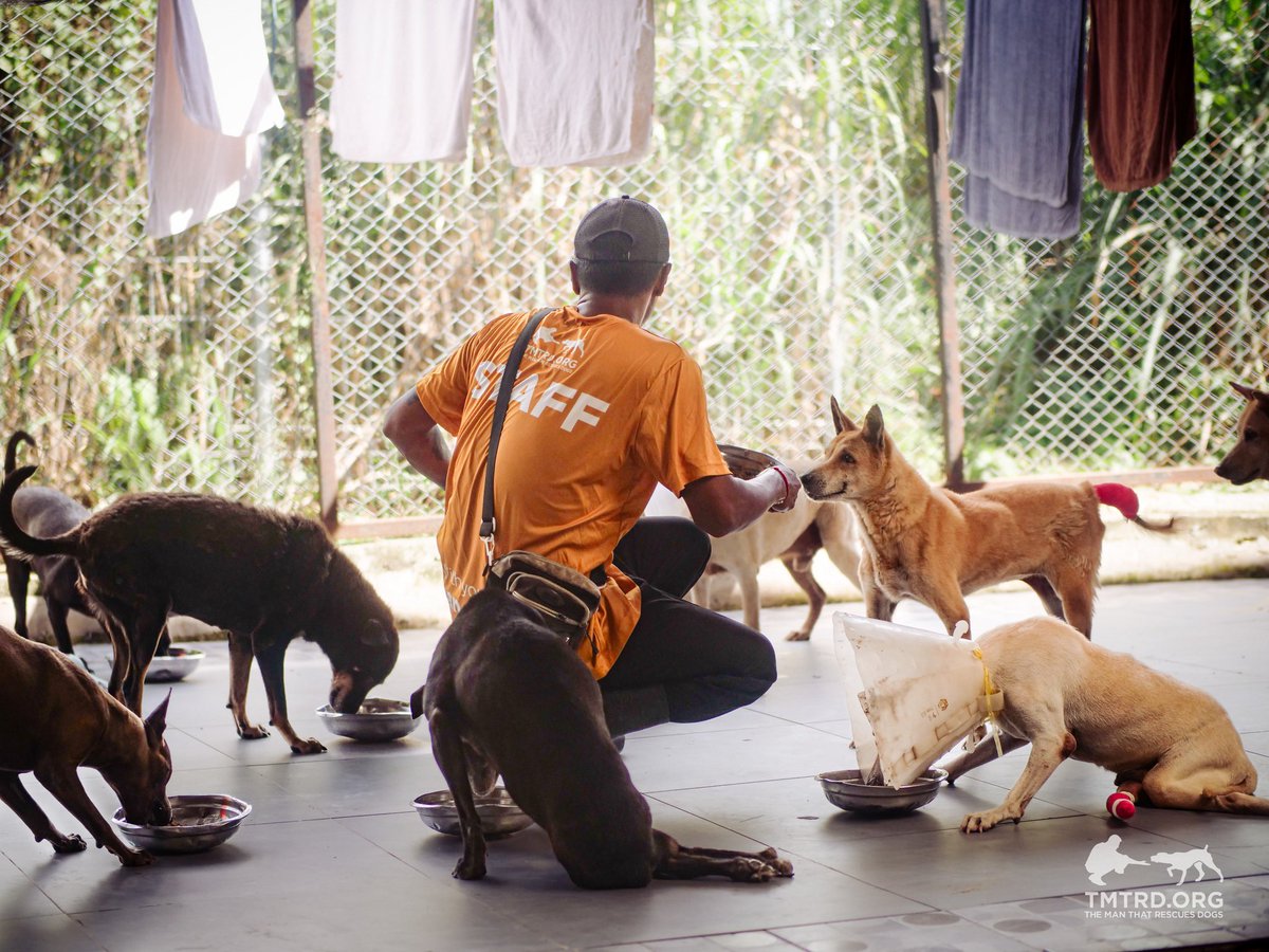 Thanks to this token, we’ve already raised enough royalties to provide over 105,000 meals for our dogs – and counting! 🐾💛 thank you all 🧡

Check it out here: bags.fm/4iVXoa1zeaQT7y…

4iVXoa1zeaQT7ySV86YNKfxP4QhDiicYrvZAUmBABAGS

You can also follow our journey on Facebook: