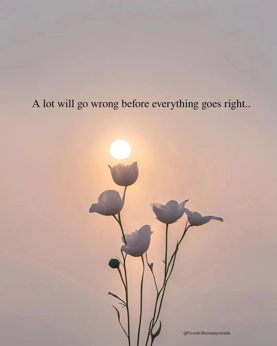 itswords_'s tweet photo. https://t.co/RGBhL9n9eN