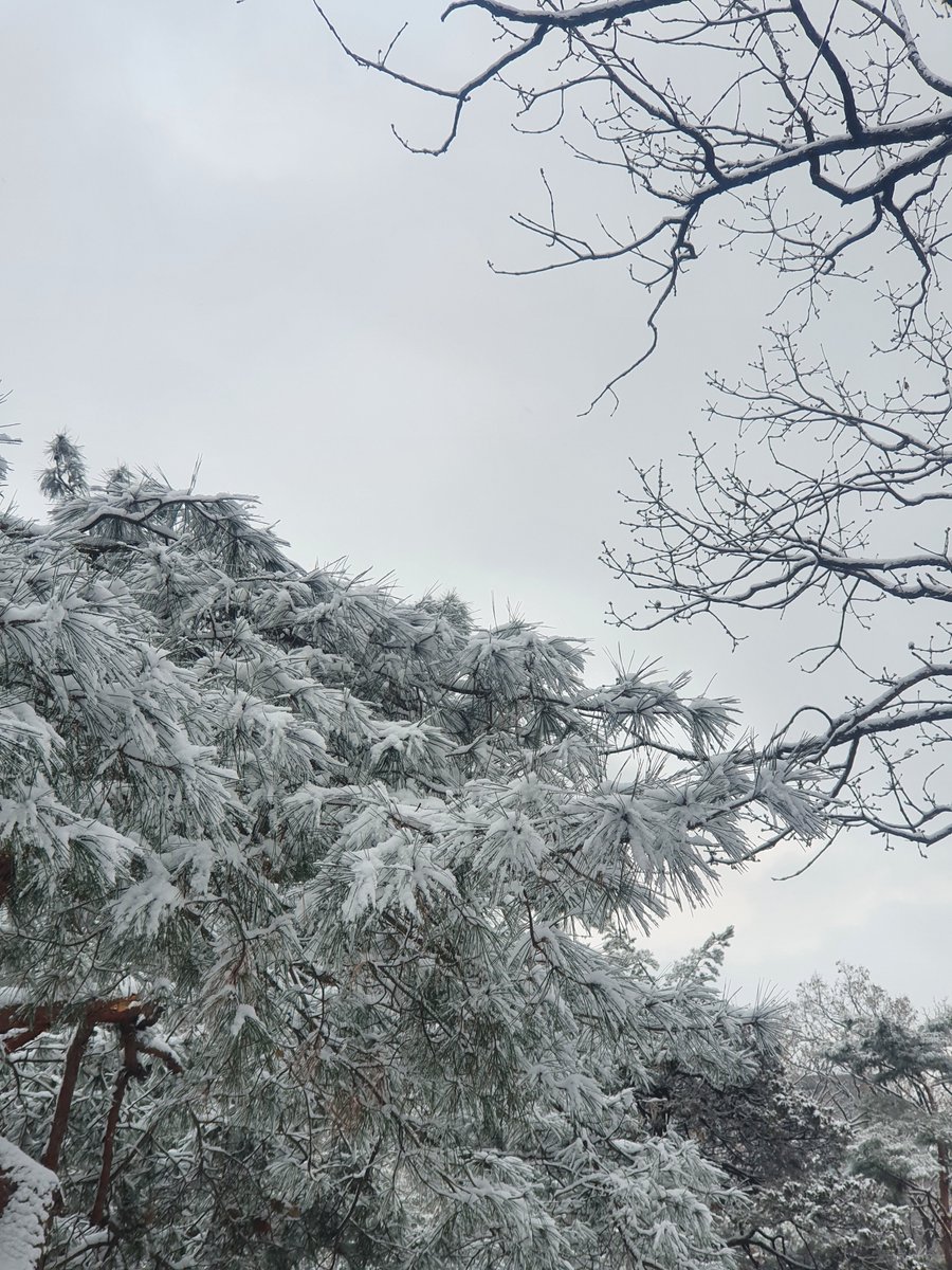 더운 날엔 종묘 설경을 보며 조금이나마 더위를 잊어 보아요 ⛄