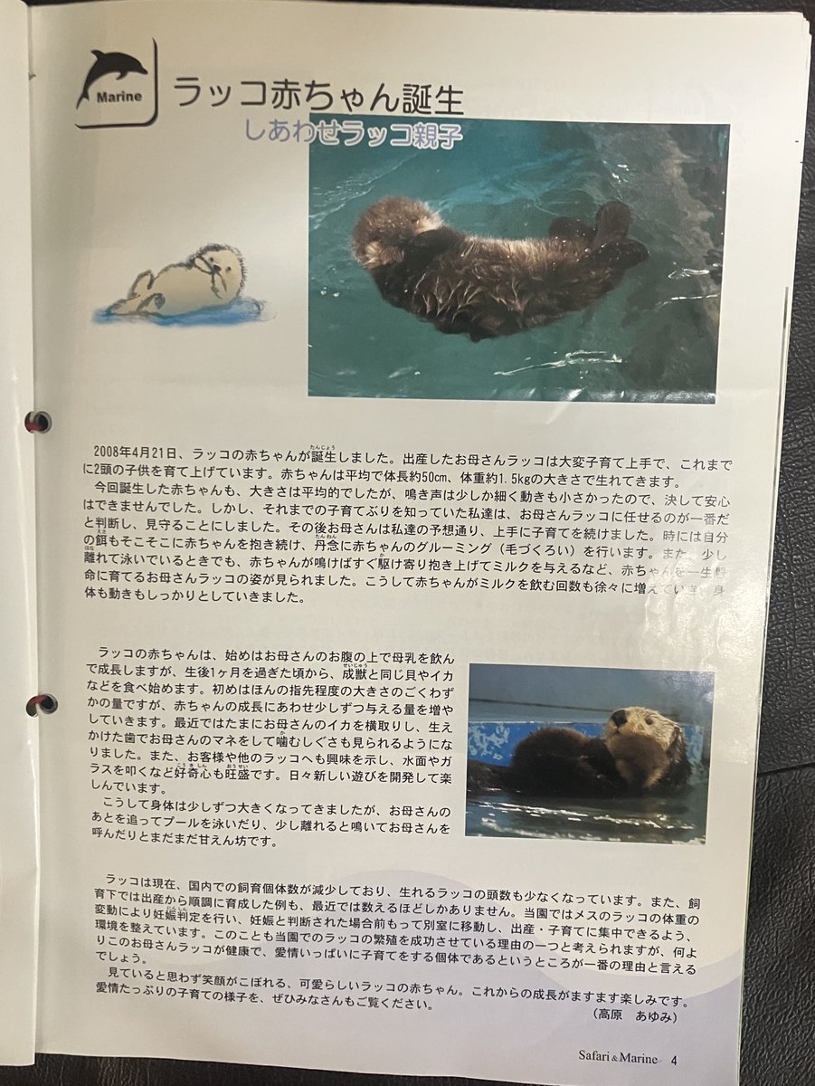 （多分）キラちゃん