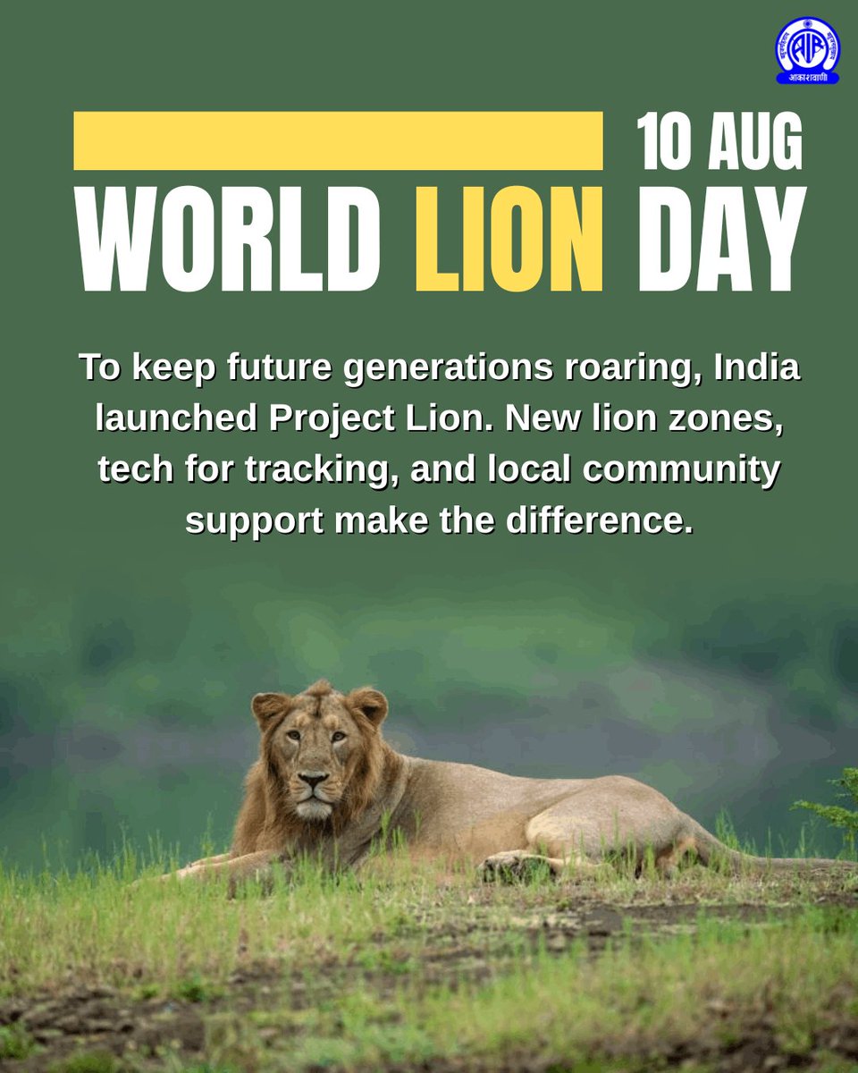 AkashvaniAIR's tweet photo. @byadavbjp @moefcc @PIB_India @MIB_India @airnewsalerts @DDNewslive 6/11
To keep future generations roaring, India launched #ProjectLion. New lion zones, tech for tracking, and local community support make the difference.
#PrideOfIndia #RoarForLions
#WorldLionDay2025
@byadavbjp @moefcc @PIB_India @MIB_India @airnewsalerts @DDNewslive https://t.co/rbyIer1rW7