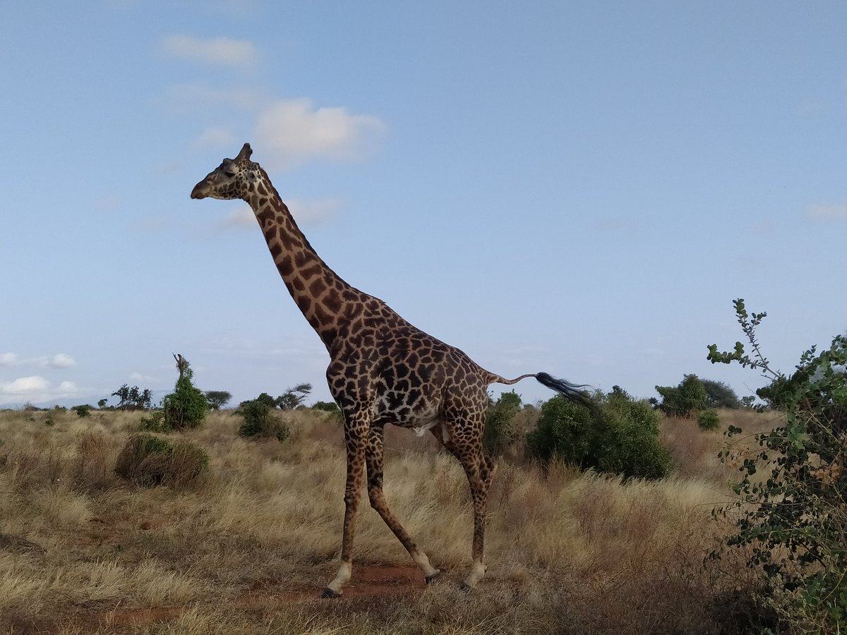 la bellezza della natura contro l'orrore #IsraeliNewNazism