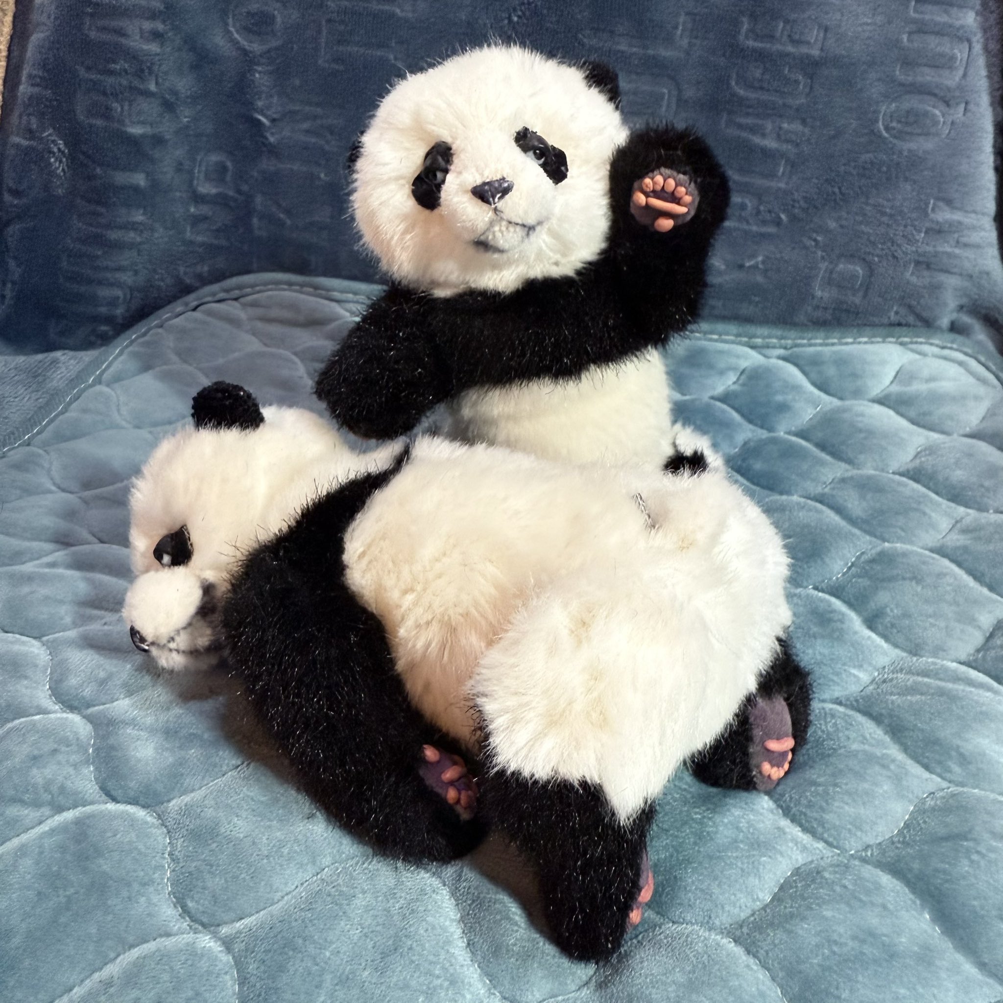 国内作家様 パンダ テディベア ぬいぐるみ ぬいぐるみ、テディベア、名入れぬいぐるみ