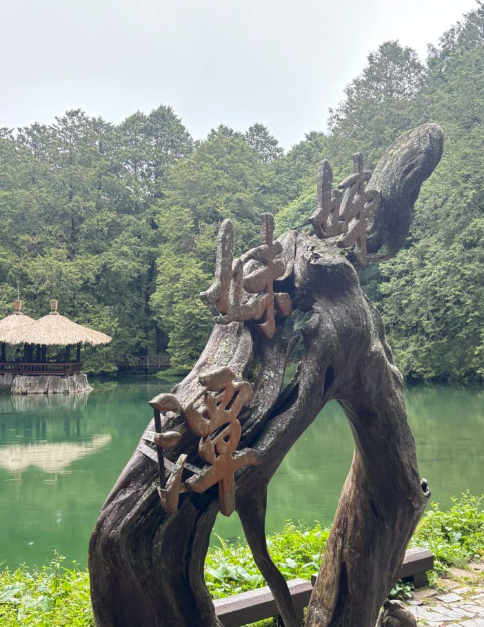 和家人去那裡玩都是一件開心幸福的事情喔💕💕