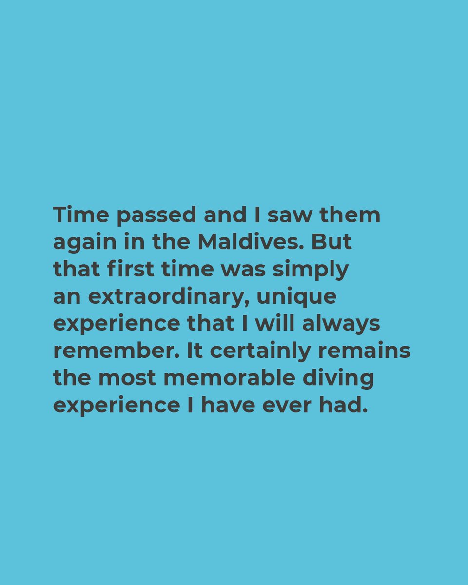 Victor's photos are so much more than just images — they are living portraits of magic and wonder. We feel honoured to be working with him 🌊🤝

#DYNAMICNORD #VictorNunez #underWater #Ambassador #Diving #OceanLover #Scubadiving #Freediving