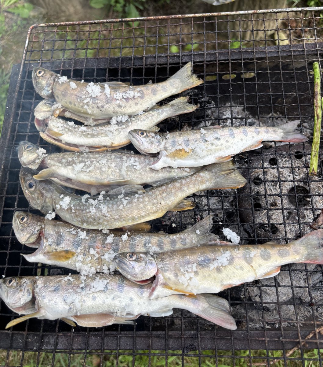 帯広から友人が来訪。釣ってきたヤマメとイワナをクサツネの塩で食べる。