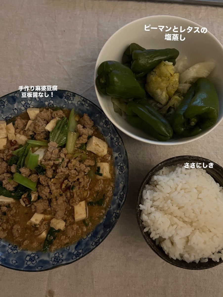 yuya_programing's tweet image. GPT5話題だけど、
Cluade4.1もめっちゃ賢くなった印象🫠

頭いいメンターさんって感じ🤤
どっかでClaudeはコードに舵を切り気味との事なので、引き続き課金！

とりあえず、
・手作り味噌
・余計なものが入ってない醤油
・余計なもの入ってない料理酒
・生姜
だけで作った麻婆豆腐がとってもおいしかた